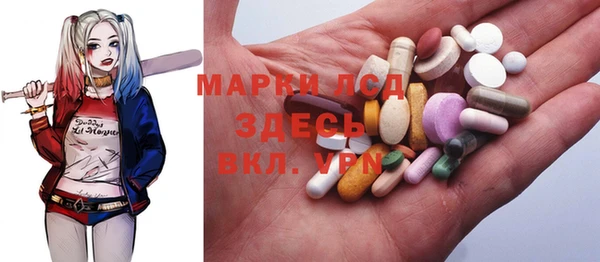 прущие грибы Осинники
