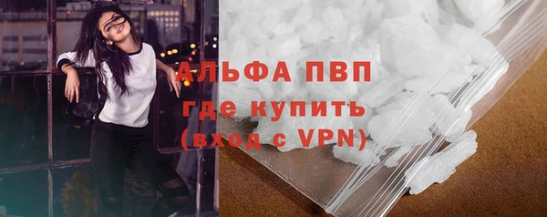 прущие грибы Осинники