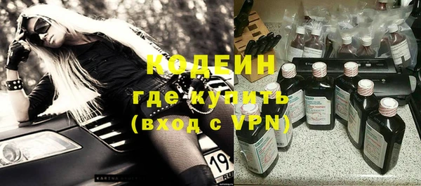 прущие грибы Осинники