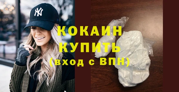 прущие грибы Осинники