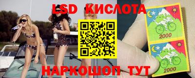 шишки Коммунар