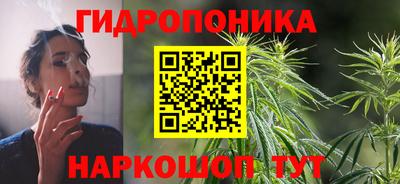 шишки Коммунар