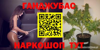 шишки Коммунар