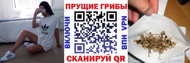 Псилоцибиновые грибы мицелий  Ногинск 