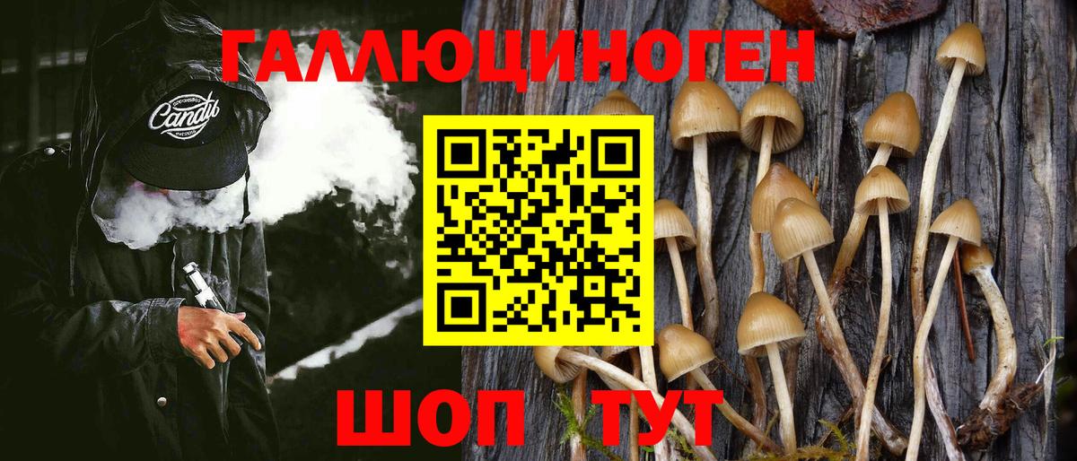 Псилоцибиновые грибы мицелий  Ногинск 