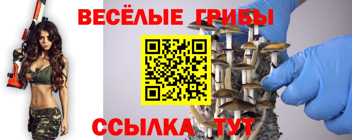 Ногинск  A-PVP  COCAIN  Хэш  МЕФ  Амфетамин  Вход с VPN  Гашиш  КОКАИН  Мяу-Мяу 